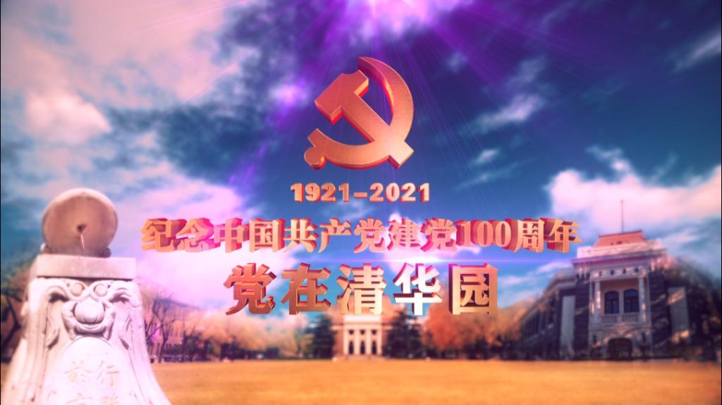 清華大学100周年記念バッジ 清華大学 バッジ 中国 - メルカリ